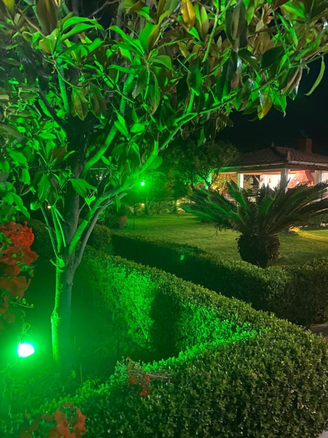 Dimitris Corinthian Villa ヴラハティ エクステリア 写真